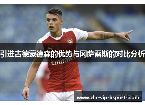 引进古德蒙德森的优势与冈萨雷斯的对比分析