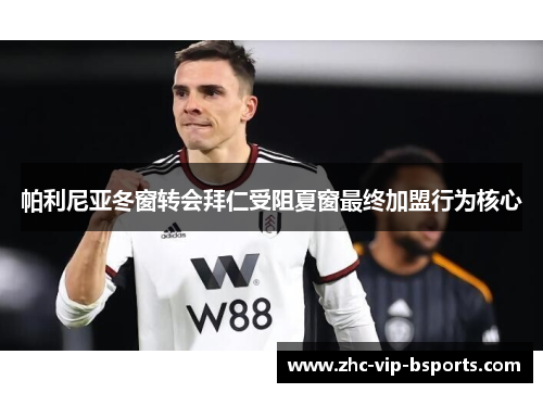 帕利尼亚冬窗转会拜仁受阻夏窗最终加盟行为核心 帕利尼亚冬窗转会拜仁受阻夏窗最终加盟行为核心